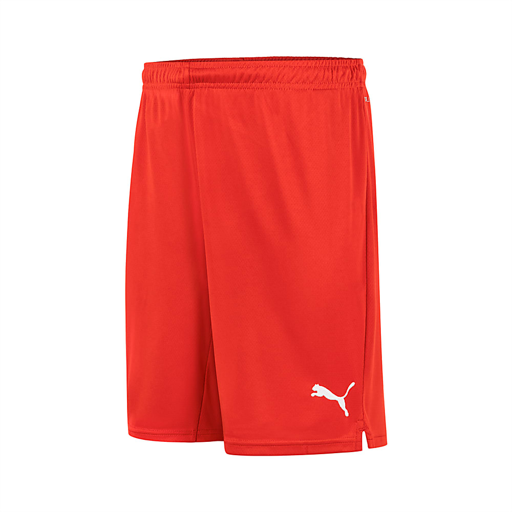 Görüntü Puma Türkiye Voleybol Milli Takım Erkek Maç Şort #1
