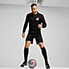 Görüntü Puma AC Milan 125.Yıl Forma #3