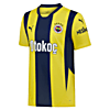 Görüntü Puma Fenerbahçe S.K. 24/25 ERKEK İÇ SAHA FORMASI #1