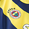 Görüntü Puma Fenerbahçe S.K. 24/25 GENÇ İÇ SAHA FORMASI #3