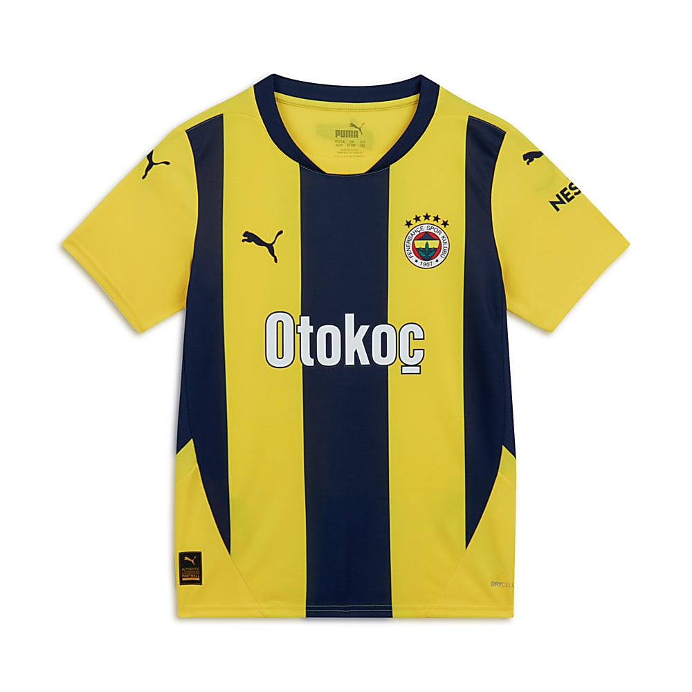 Görüntü Puma Fenerbahçe S.K. 24/25 GENÇ İÇ SAHA FORMASI #1