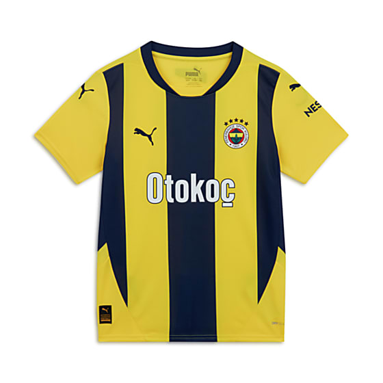 Подростковые  Puma Fenerbahçe S.K. 24/25 GENÇ İÇ SAHA FORMASI