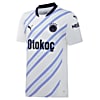 Görüntü Puma Fenerbahçe S.K. 24/25 ERKEK DEPLASMAN FORMASI #1