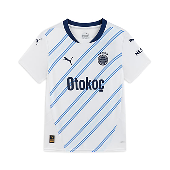 Подростковые  Puma Fenerbahçe S.K. 24/25 GENÇ DEPLASMAN FORMASI для футбола