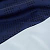 Görüntü Puma Fenerbahçe S.K. 24/25 ERKEK ÜÇÜNCÜ FORMA #5