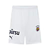 Görüntü Puma Fenerbahçe S.K. 24/25 ERKEK İÇ SAHA ŞORT #1