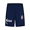 Görüntü Puma Fenerbahçe S.K. 24/25 ERKEK İÇ SAHA ŞORT #1
