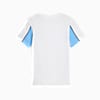 Görüntü Puma Manchester CITY ftblARCHIVE Erkek Tişört #5