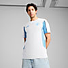 Görüntü Puma Manchester CITY ftblARCHIVE Erkek Tişört #1