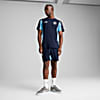 Görüntü Puma Manchester CITY ftblARCHIVE Erkek Tişört #3