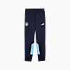 Görüntü Puma Manchester CITY ftblARCHIVE Erkek Eşofman Altı #6