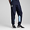 Görüntü Puma Manchester CITY ftblARCHIVE Erkek Eşofman Altı #1