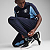 Görüntü Puma Manchester CITY ftblARCHIVE Erkek Eşofman Altı #2