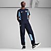 Görüntü Puma Manchester CITY ftblARCHIVE Erkek Eşofman Altı #3
