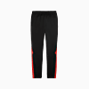 Görüntü Puma AC MILAN ftblNRGY+ Erkek Pantolon #7
