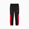 Görüntü Puma AC MILAN ftblNRGY+ Erkek Pantolon #6