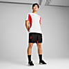 Görüntü Puma AC Milan ftblARCHIVE Erkek Tişört #3
