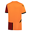 Görüntü Puma Galatasaray S.K. 24/25 ERKEK İÇ SAHA FORMASI #3