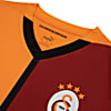 Görüntü Puma Galatasaray S.K. 24/25 ERKEK İÇ SAHA FORMASI #2