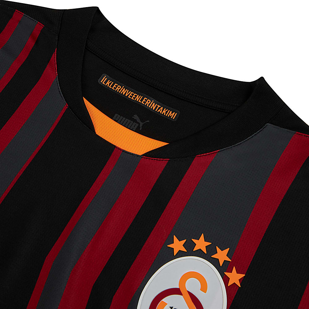 Görüntü Puma Galatasaray S.K. 24/25 ERKEK ÜÇÜNCÜ FORMA #2