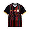 Görüntü Puma Galatasaray S.K. 24/25 GENÇ ÜÇÜNCÜ FORMA #1