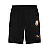Görüntü Puma Galatasaray S.K. 24/25 ERKEK İÇ SAHA FUTBOL ŞORTU #1