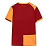 Görüntü Puma GALATASARAY 25/26 Erkek İç Saha Forması #2
