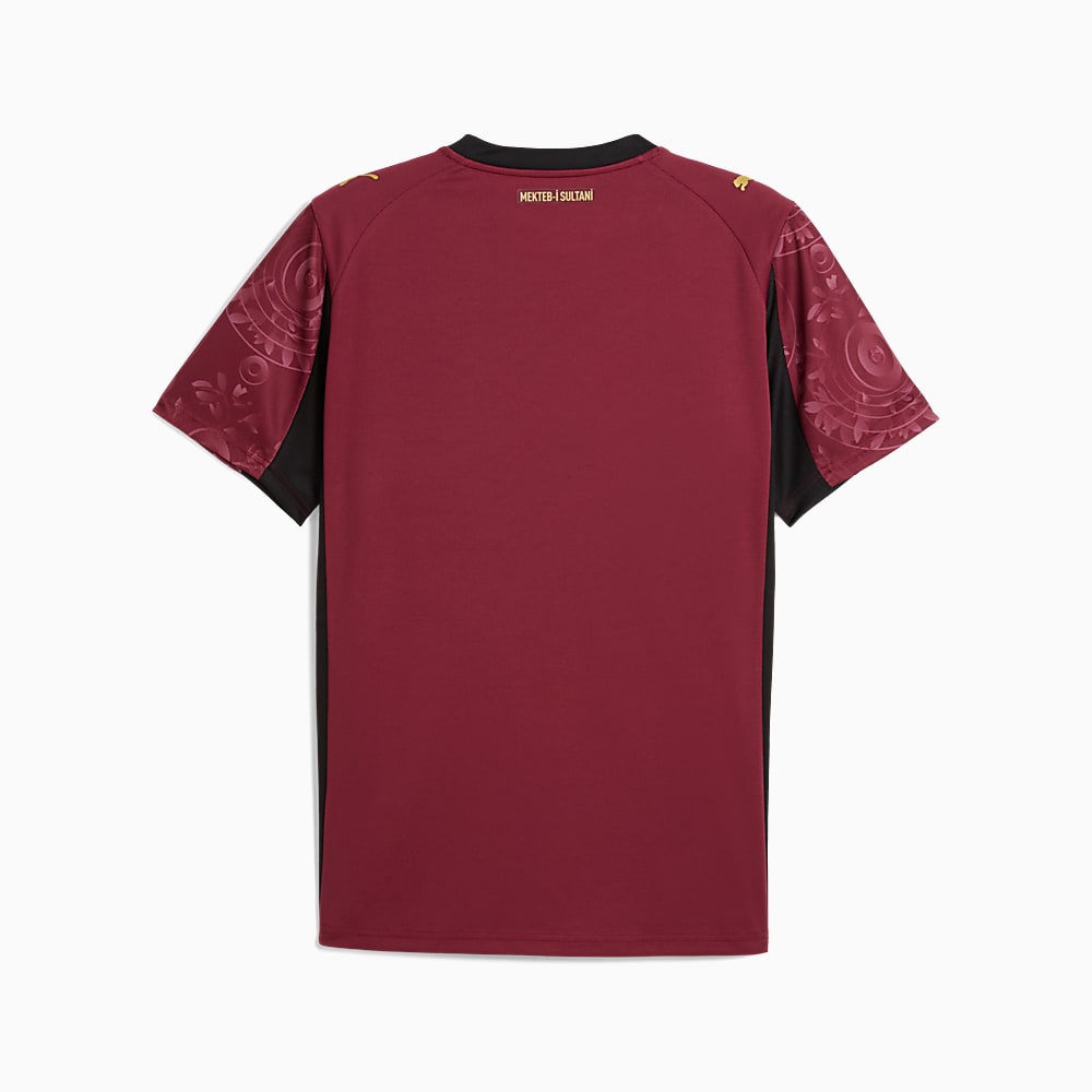 Görüntü Puma GALATASARAY 25/26 Erkek Alternatif Forması #2