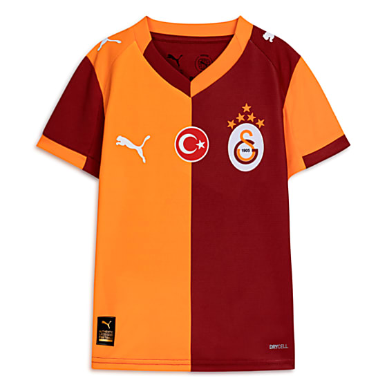 Görüntü Puma GALATASARAY 25/26 Genç İç Saha Forması