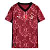 Görüntü Puma GALATASARAY 25/26 Genç Alternatif Forması #1