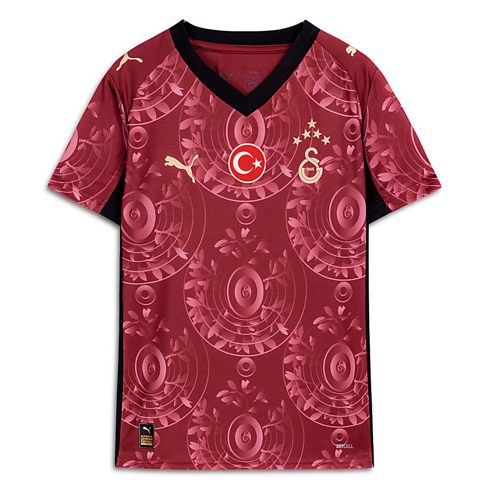 Görüntü Puma GALATASARAY 25/26 Genç Alternatif Forması #1