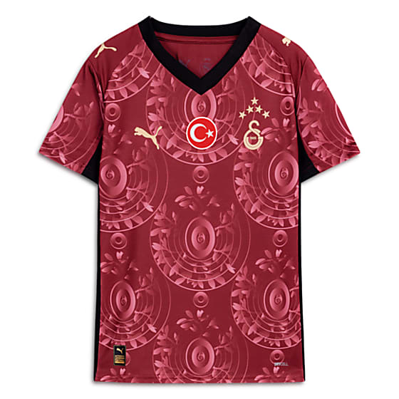Подростковые  Puma GALATASARAY 25/26 Genç Alternatif Formasi