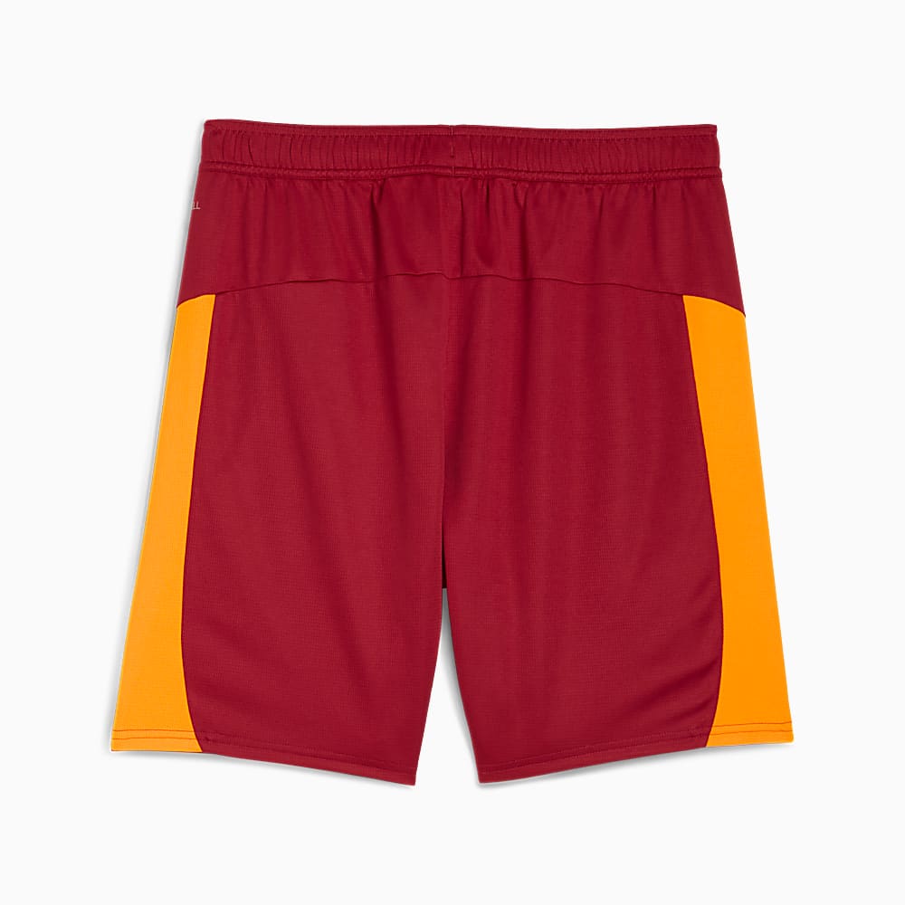 Görüntü Puma GALATASARAY 25/26 Erkek Futbol Şortu #2
