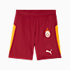 Görüntü Puma GALATASARAY 25/26 Erkek Futbol Şortu #1