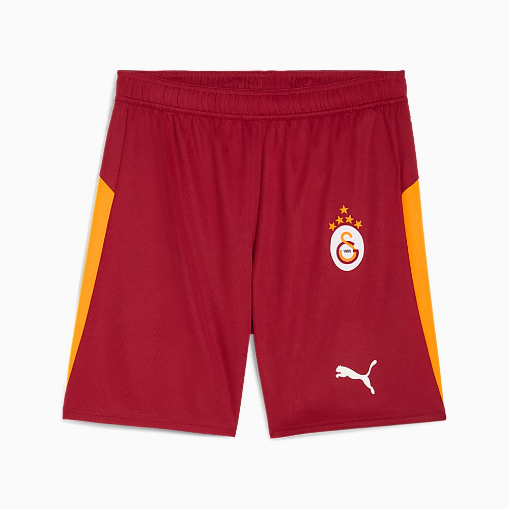 Görüntü Puma GALATASARAY 25/26 Erkek Futbol Şortu #1