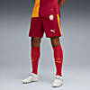 Görüntü Puma GALATASARAY 25/26 Erkek Futbol Şortu #3