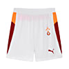 Görüntü Puma GALATASARAY 25/26 Erkek Futbol Şortu #6