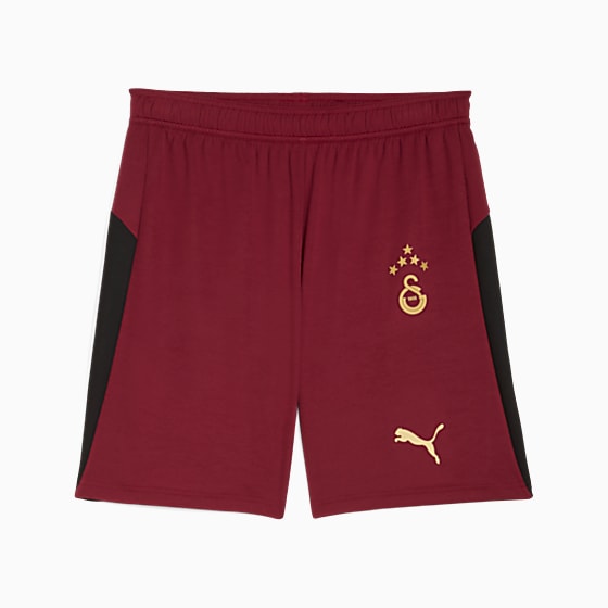 Мужские шорты Puma GALATASARAY 25/26 Futbol Şortu для футбола