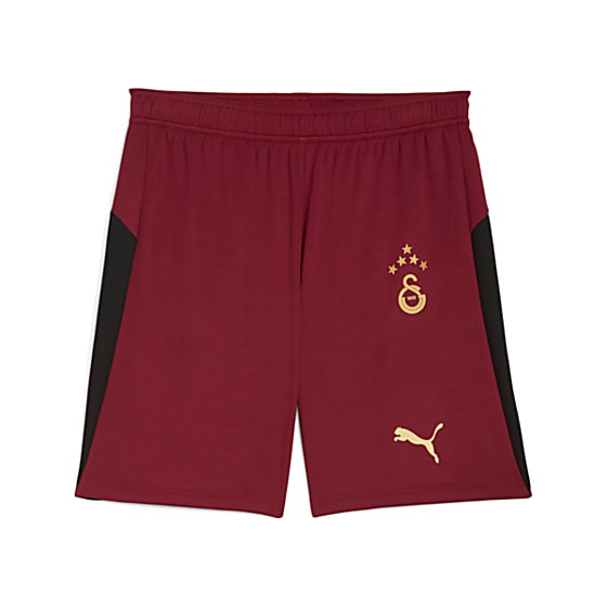 Мужские шорты Puma GALATASARAY 25/26 Futbol Şortu для футбола