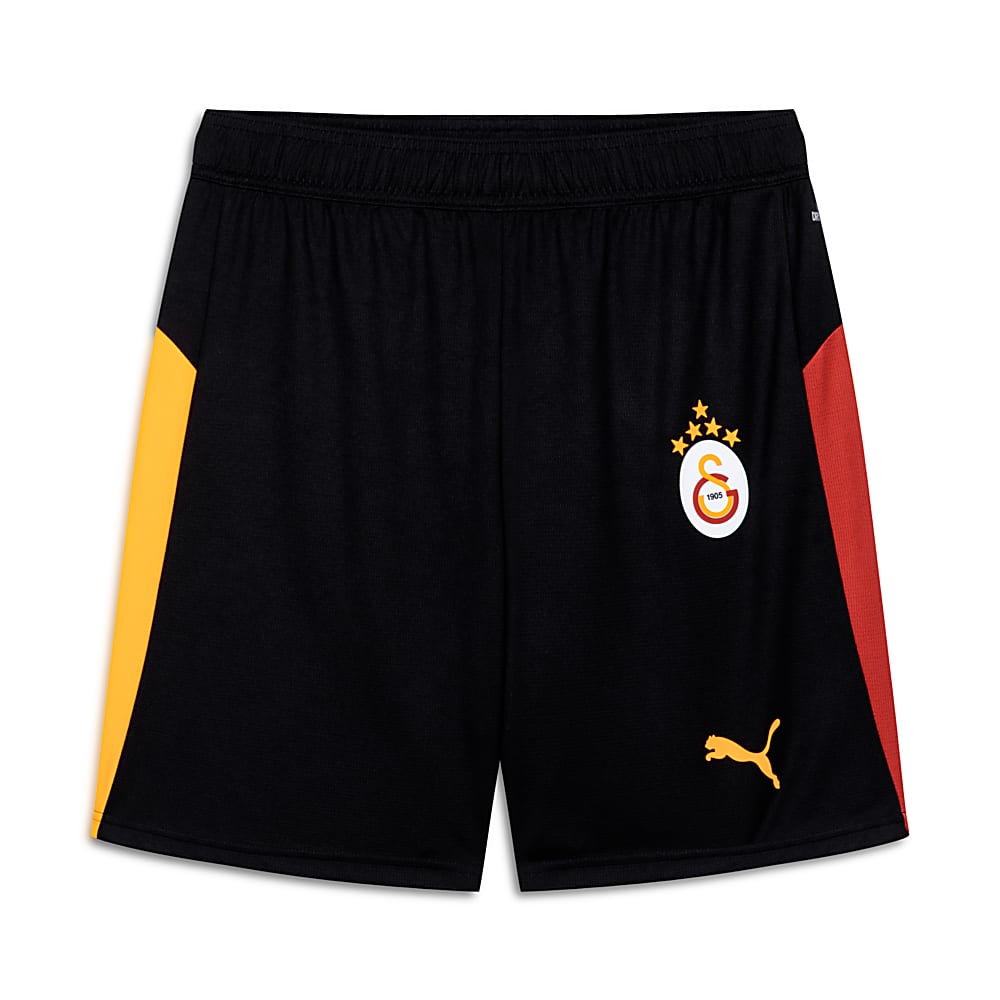 Görüntü Puma GALATASARAY 25/26 Erkek Futbol Şortu #1