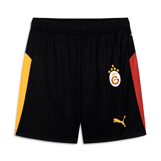 Мужские шорты Puma GALATASARAY 25/26 Futbol Şortu для футбола