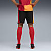 Görüntü Puma GALATASARAY 25/26 Erkek Futbol Şortu #3