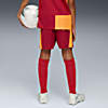 Görüntü Puma GALATASARAY 25/26 Genç Futbol Şortu #4