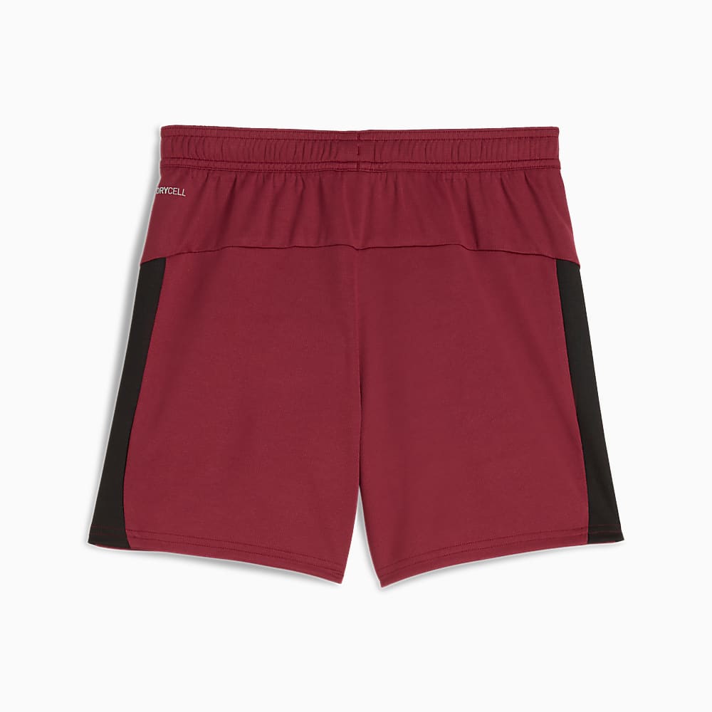 Görüntü Puma GALATASARAY 25/26 Genç Futbol Şortu #2