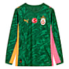 Görüntü Puma GALATASARAY 25/26 Erkek Kaleci Forması #1