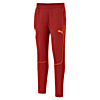 Görüntü Puma Galatasaray S.K. Eşofman Altı #1