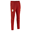 Görüntü Puma Galatasaray S.K. Eşofman Altı #2