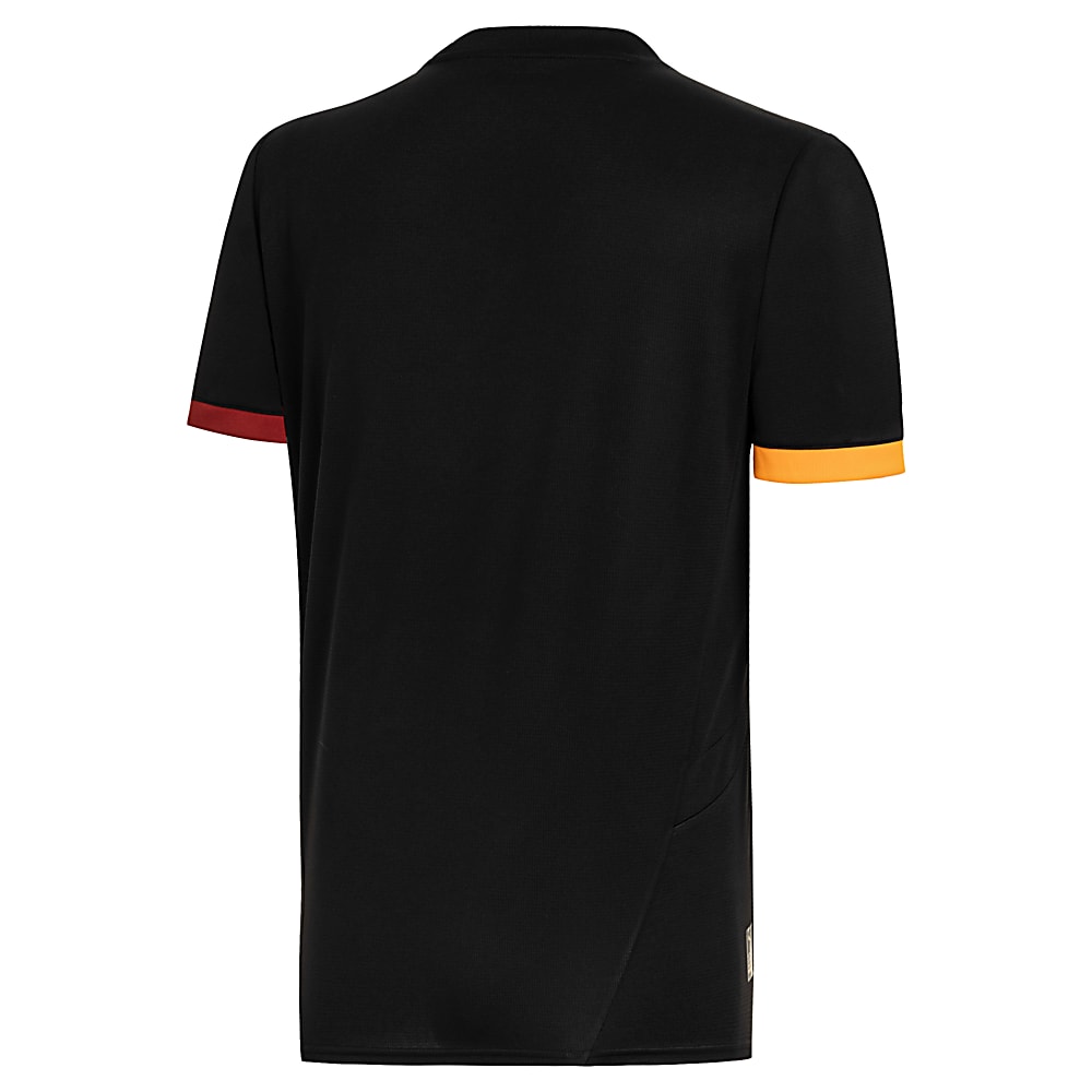 Görüntü Puma Galatasaray S.K. 24/25 ÖZEL FORMASI #2