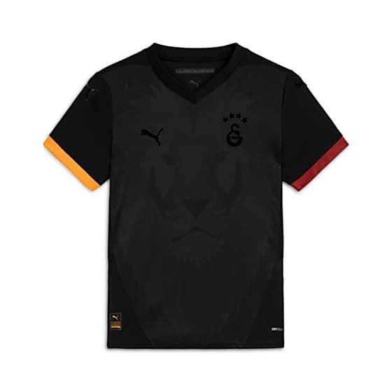 Görüntü Puma Galatasaray S.K. 24/25 GENÇ ÖZEL FORMASI