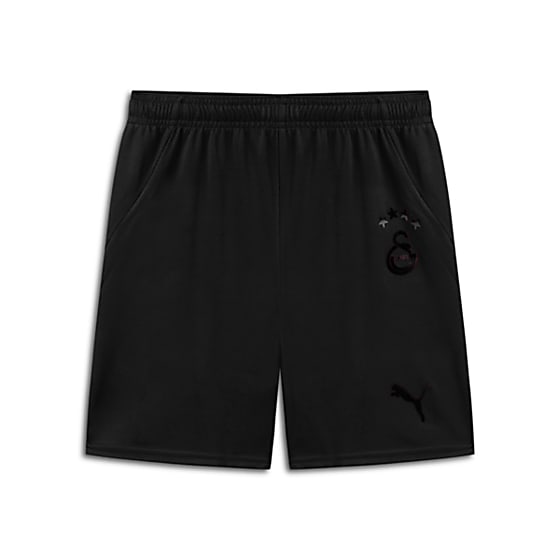 Görüntü Puma Galatasaray S.K. 24/25 GENÇ ÖZEL FORMA ŞORTU